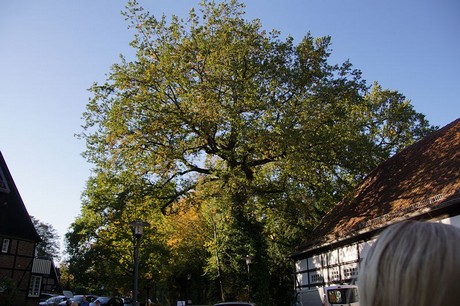 Bad Sassendorf